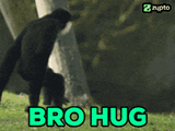 ape-ape-hug