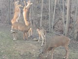 IMG_20230210_173230843 (1)