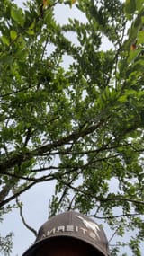 IMG_5766