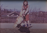 Braun,Blondi