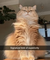 1745317975380202