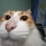 20250811_132122
