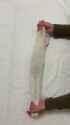 X76yI-3ncO6BPqSQ (1)_thumb.jpg
