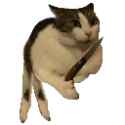 1954718556794597412_thumb.jpg