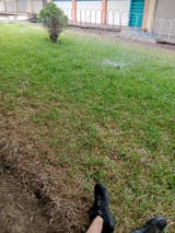IMG_20250811_101902