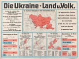 1918 Ukraine Simon Schopp&#039;sche Landkarten-Handlung Berlin 52 x 72 cm