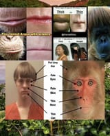 1754696715786184