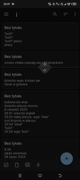 Screenshot_20250811-204728