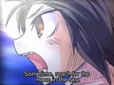 peto eläin