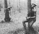 lynching of roosevelt townes and robert mcdaniels 1937