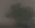 htwrqert_thumb.jpg
