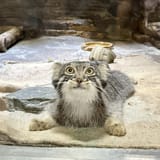 IMG_20250812_123501_172