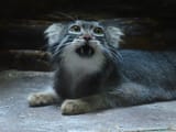 IMG_20250812_123516_910