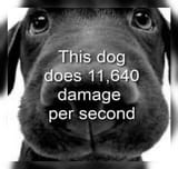 Thread 213738715 OP Image
