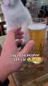 sOfmzMe89RZK8X6B (1)_thumb.jpg
