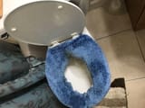 Thread 213747816 OP Image