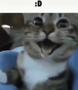 1750331832016129