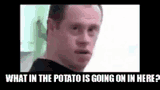 pettyville-potato