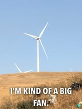 Big Fan