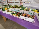 IMG_20250814_104410349_HDR