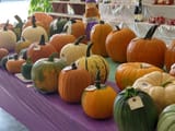 IMG_20250814_104601780_HDR