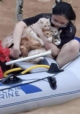 Woman_saved_her_cats_from_flood_in_the_Philippines