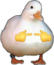 3425-duck-499859294