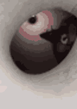 tube-sniff