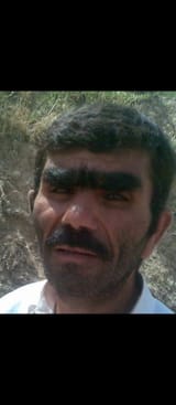 ensest kğrt böceği