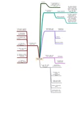 Mapa mental currículo