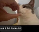 images(17)