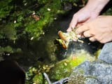 IMG_20250814_230420799