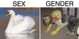 1738618008255560