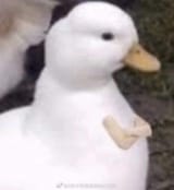 1584735897098