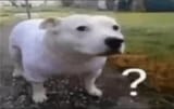 1741381173832534