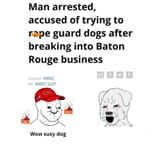 Wow suxy dog