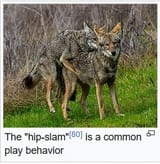 hipslam