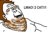 lmao 2 cat