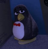 82829