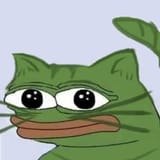 Cat pepey 2