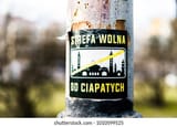 Thread 213837093 OP Image