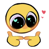 shy