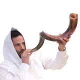 513GFVvyEIL