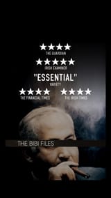 the bibi files
