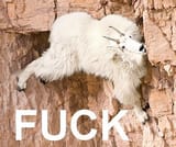 FFUUCK