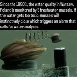 historyfeels__2025-08-13T213000.000Z