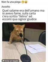 FB_IMG_1755267687427