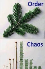 orderchaos