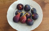 Figs1
