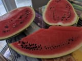 IMG_20250815_180151